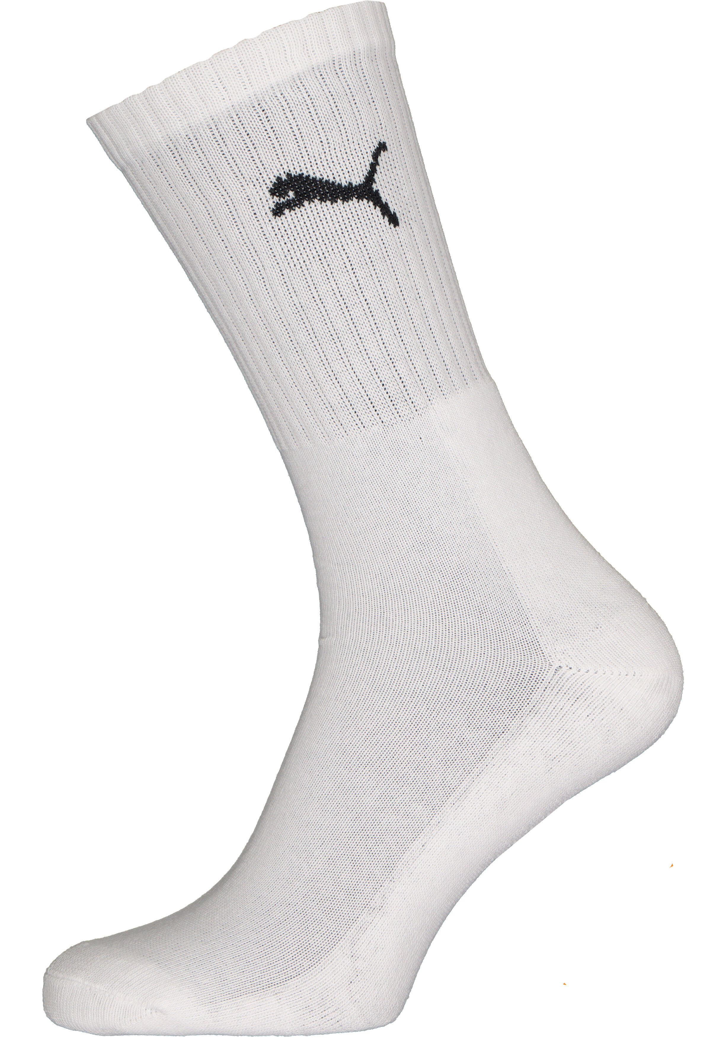 Puma sport cush crew 6-Pack, wit